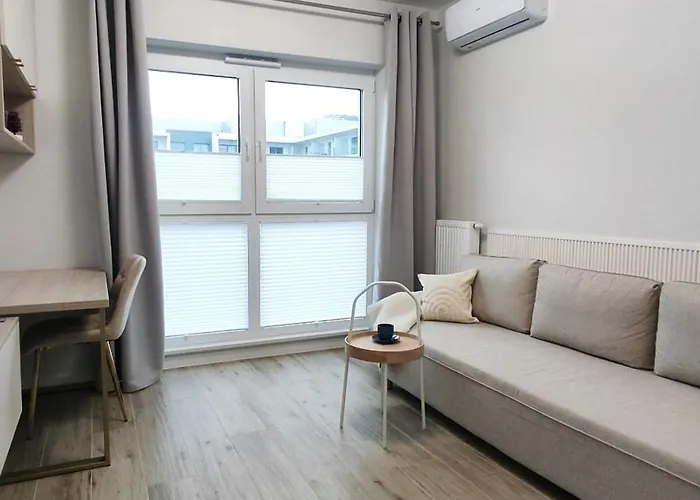 Art Iii فروتسواف